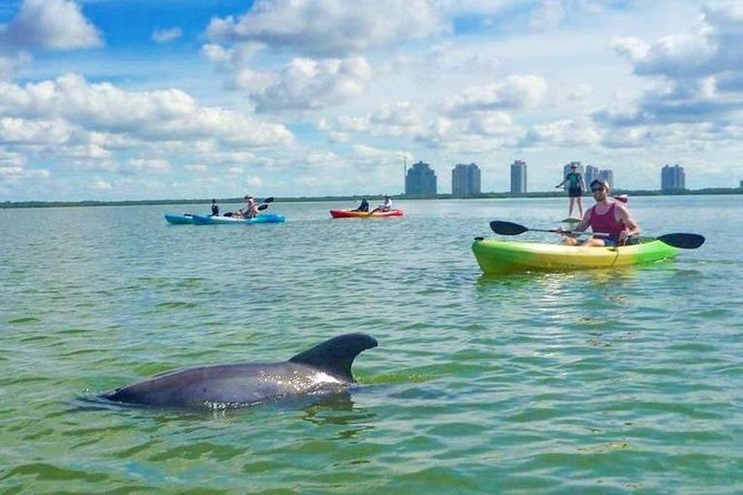 Guided Island EcoTour: CLEAR/Standard Kayak, SUP - Bonita Springs - Fitness and pace: who this tour fits best