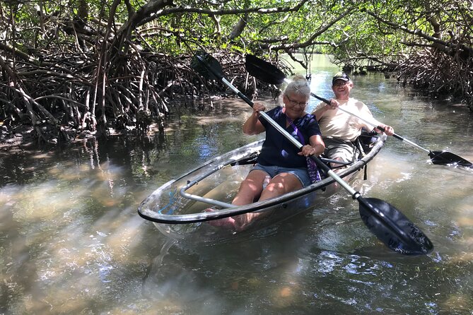 Guided Island EcoTour: CLEAR/Standard Kayak, SUP - Bonita Springs - Price and value: $50 for guided nature, gear, and photos