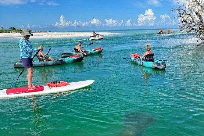 Guided Island EcoTour: CLEAR/Standard Kayak, SUP - Bonita Springs - When to go for the wildlife you want