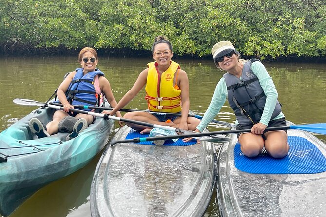 Guided Island EcoTour: CLEAR/Standard Kayak, SUP - Bonita Springs - The 2.5-hour flow: launch, guided paddling, beach shelling, and back
