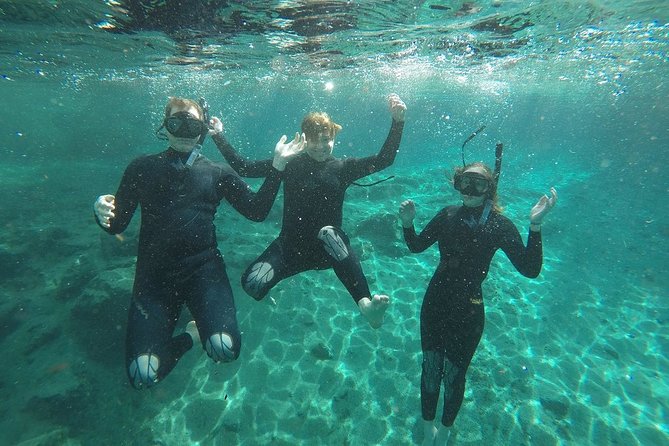 Guided Small Group Manatee Snorkeling Tour with In-Water Photographer - Crystal River manatees, up close, without the crowd energy