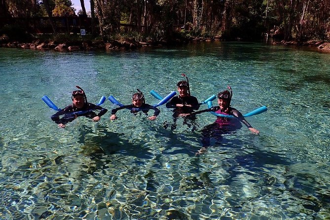 Guided Small Group Manatee Snorkeling Tour with In-Water Photographer - From check-in to first breath underwater: how the 3 hours actually flow