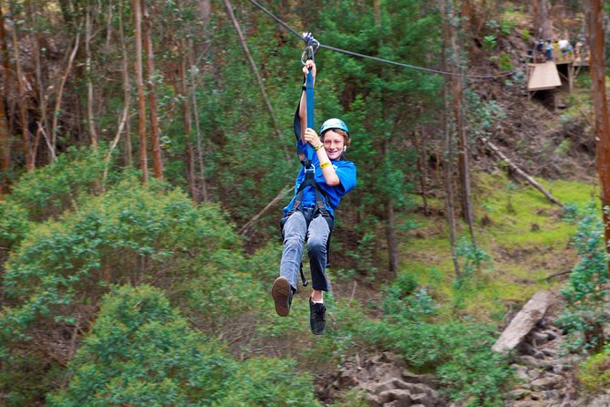 Haleakala 6 Line Zipline Adventure - Entering the treetops near Haleakala National Park