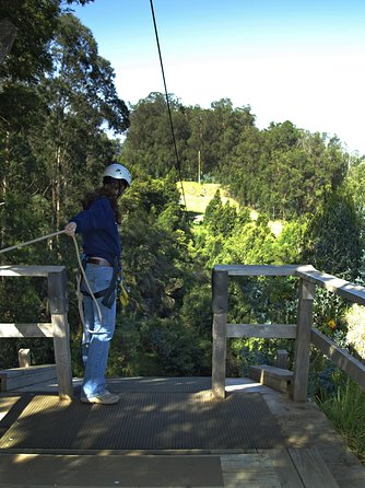 Haleakala 6 Line Zipline Adventure - Timing that fits a full Maui day