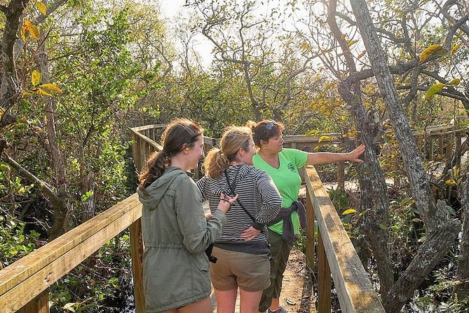 Half-day Everglades National Park Tour and 1-Hour Air Boat Ride - What’s Included, What Isn’t, and How to Pack Like a Local