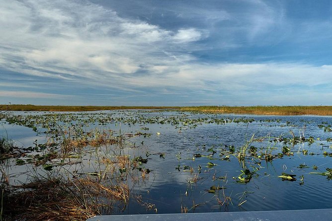 Half-day Everglades National Park Tour and 1-Hour Air Boat Ride - Price and Value: Is $189 a Smart Deal for This Setup?