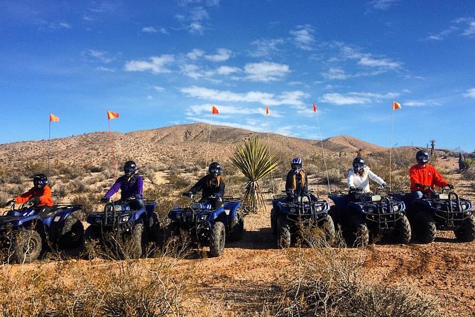 Half-Day Mojave Desert ATV Tour from Las Vegas - The 1.5-hour Mojave track: what the ride feels like