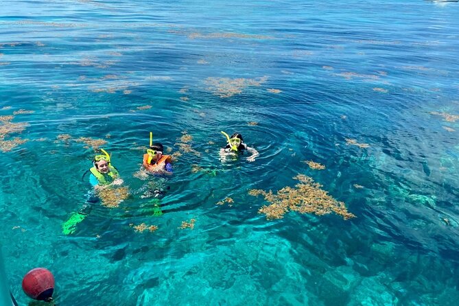 Half Day Snorkel Trip on Reefs in the Florida Keys - The Florida Keys reef sites: why John Pennekamp matters so much