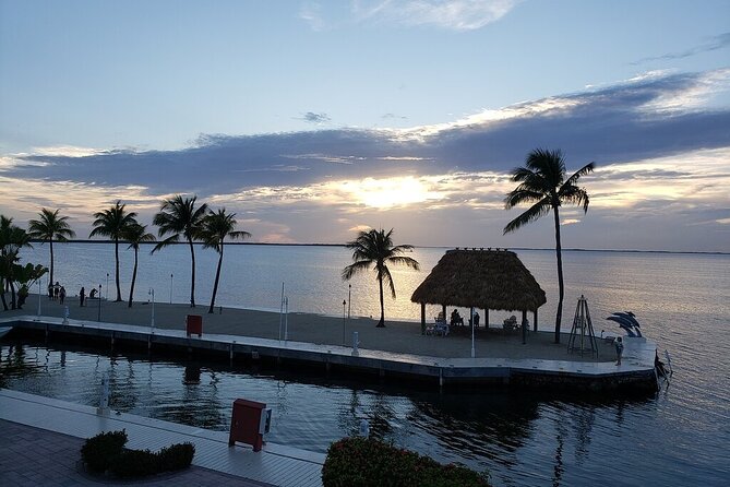 Half Day Snorkel Trip on Reefs in the Florida Keys - Gear and coaching: what’s included, what helps, and what to bring