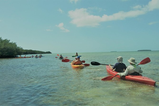 Half-Day Trip from Key West with Kayaking, Snorkeling & Sunset - A Half-Day That Feels Like Three Trips in One