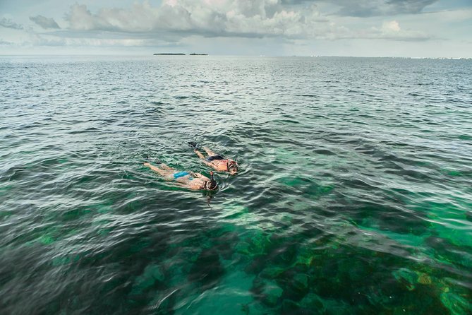 Half-Day Trip from Key West with Kayaking, Snorkeling & Sunset - Snorkeling in the Sanctuary: Expect Wildlife, Not Guaranteed Reef Postcards