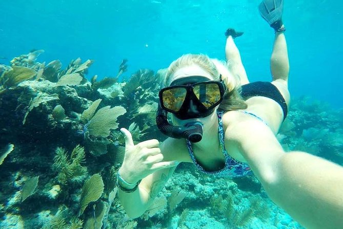 Half-Day Trip from Key West with Kayaking, Snorkeling & Sunset - The Crew Makes the Day: From First-Timer Support to Safety Adaptation