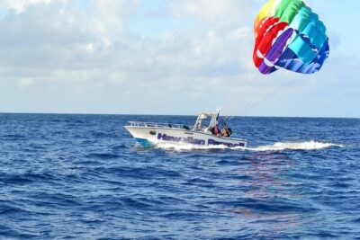 Hawaiian Parasail Since 1977 - What You See Over Oahu: Waikiki Views, Diamond Head, and Real Wildlife