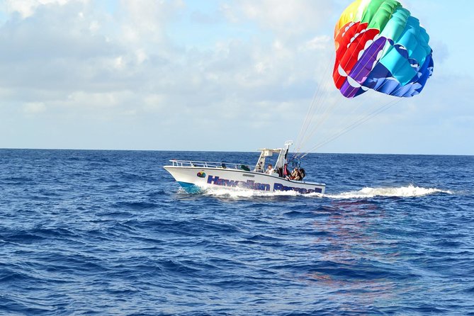 Hawaiian Parasail Since 1977 - What You See Over Oahu: Waikiki Views, Diamond Head, and Real Wildlife