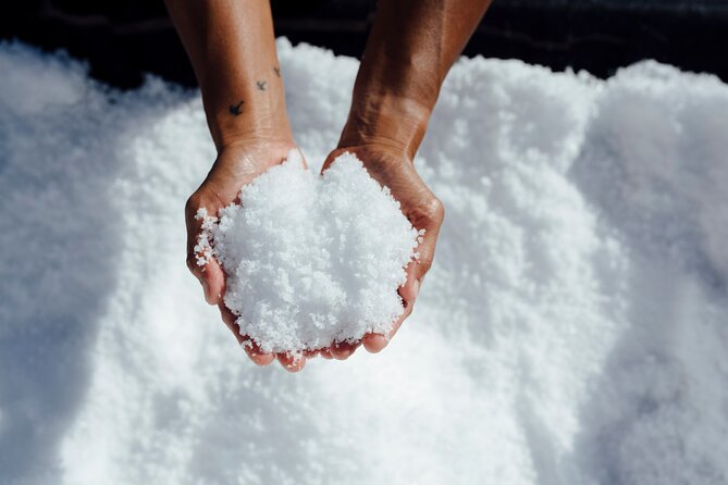 Hawaiian Salt Farm Tour in Kona - Guides Make the Difference: Candee, Mari, and Ipolani in Action