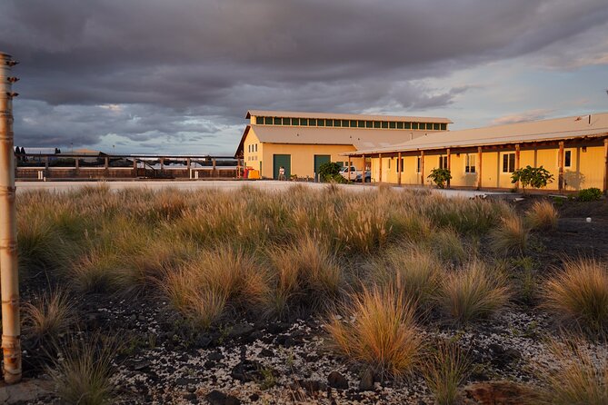 Hawaiian Salt Farm Tour in Kona - What to Ask on the Tour (So the Hour Feels Longer)