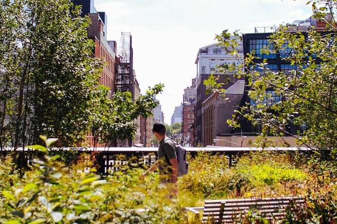 High Line and Chelsea Small Group Tour - Key highlights at a glance