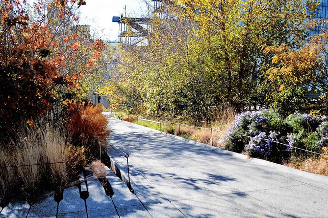High Line and Chelsea Small Group Tour - Small-group value: why $39 can work (and when it won’t)