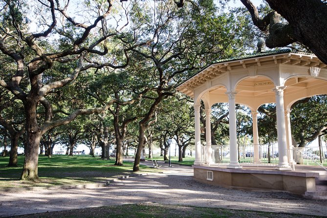 Highlights of Charleston Guided Walking Tour - Rainbow Row: the most photographed view, explained beyond the postcard