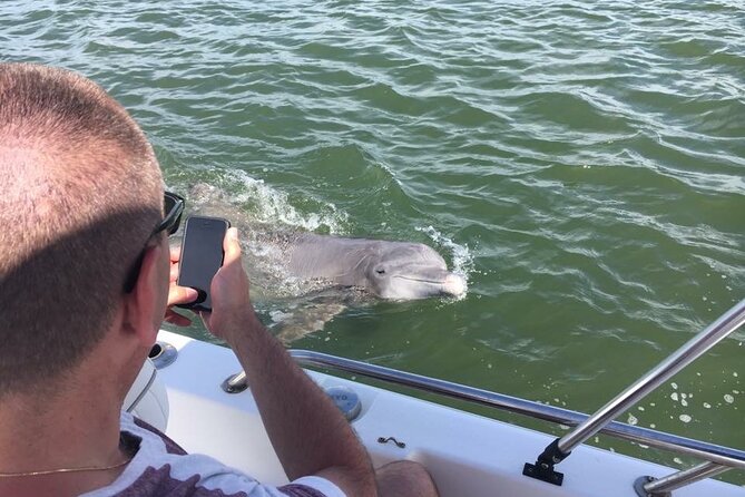 Hilton Head Island Dolphin Boat Cruise - Who this cruise fits best (and who might want something else)