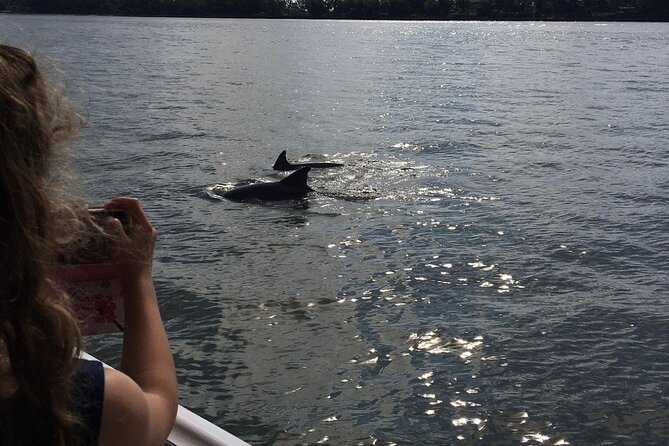 Hilton Head Island Dolphin Boat Cruise - Departure times and timing tips that actually help