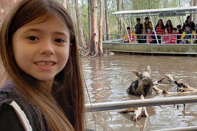 Honey Island Swamp Boat Tour - When to Go: Weather, Seasons, and Your Gator Chances