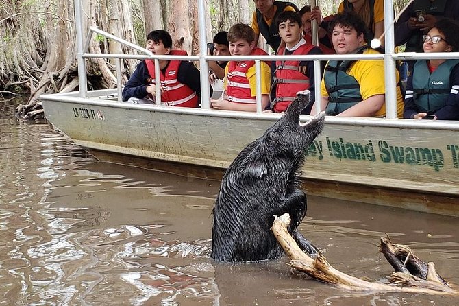 Honey Island Swamp Boat Tour - Who This Tour Suits (and who may want to choose differently)