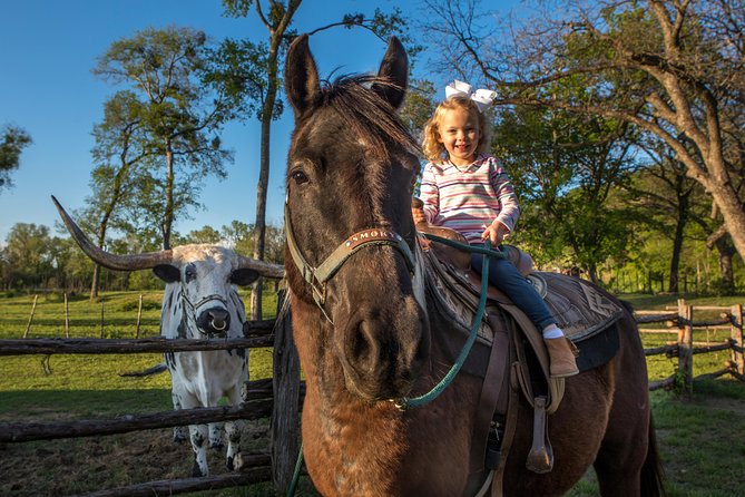Horseback Riding on Scenic Texas Ranch near Waco - The flow of the ride: lesson, trail, and the overlook moment