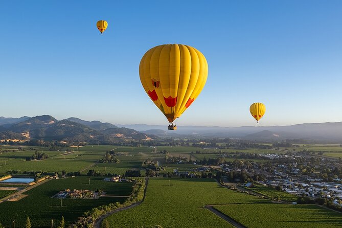 Hot Air Balloon Rides in Napa Valley - Why Napa Vineyards Make Perfect Balloon Fuel