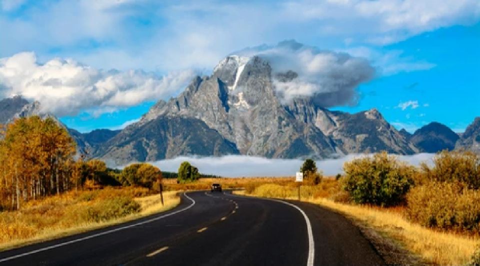 Jackson: Grand Teton National Park Guided Wildlife Tour - Optional Short Hike: When You Step Out for Better Views