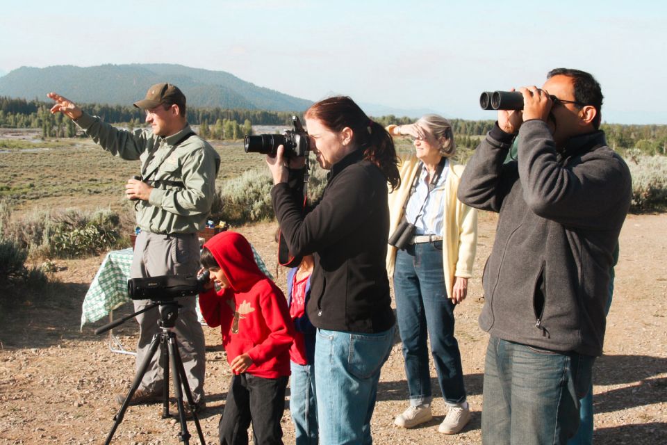 Jackson: Grand Teton National Park Guided Wildlife Tour - Wildlife You Can Expect to See in Grand Teton