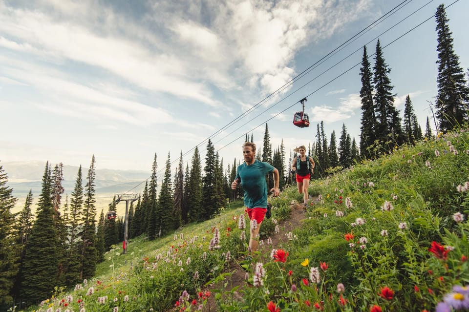 Jackson Hole: Aerial Tram and Gondolas Sightseeing - Bridger Gondola and Sweetwater Gondola: the sunset and the variety