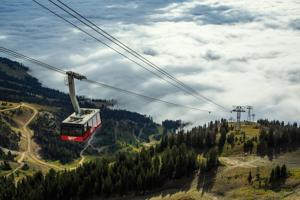 Jackson Hole: Aerial Tram and Gondolas Sightseeing - Price and value: why $55 can make sense here
