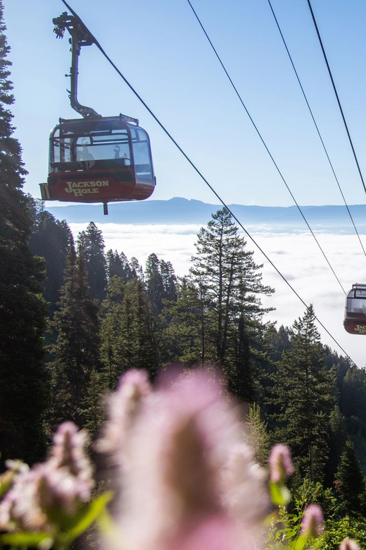 Jackson Hole: Aerial Tram and Gondolas Sightseeing - Grand Teton Skywalk: your 360-degree view in the wind