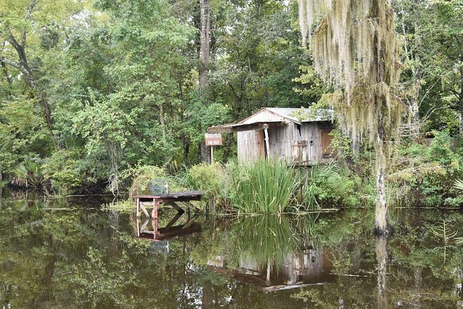 Jean Lafitte 90-Minute Swamp and Bayou Boat Tour - Wildlife Spotting: Gators, Birds, Nutria, and the Camouflage Game