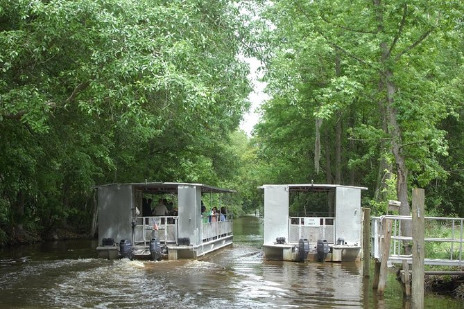 Jean Lafitte 90-Minute Swamp and Bayou Boat Tour - What You’ll Buy on Board: Snacks, Drinks, and a Simple Lunch Plan