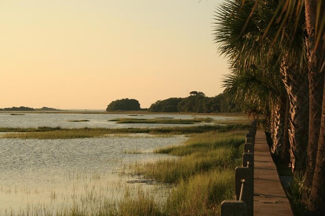 Jekyll Island Dolphin Tours - Boat Comfort: Sun Cover, Stereo, Bathroom, and the Reality of Photos