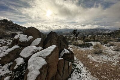 Joshua Tree National Park Self-Guided Driving Audio Tour - Before You Go: The Download Rule That Makes or Breaks It