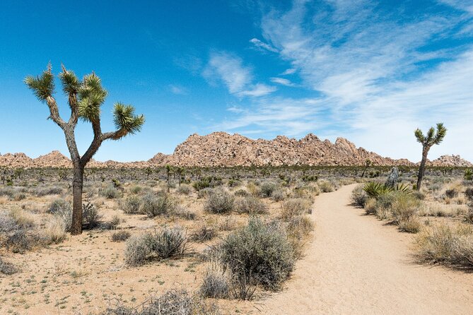 Joshua Tree National Park Self-Guided Driving Audio Tour - Samuelsons Rock and the Desert’s “Mirage” Moment at Willow Hole