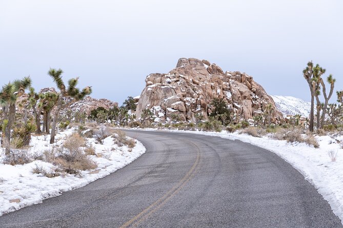Joshua Tree National Park Self-Guided Driving Audio Tour - Hemingway Buttress, Climber Names, and Cap Rock’s Quick Flora Walk