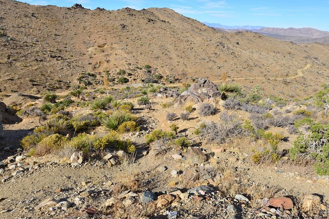 Joshua Tree National Park Self-Guided Driving Audio Tour - Hidden Valley Nature Trail Bonus: Easy Mile, Big Story Payoff