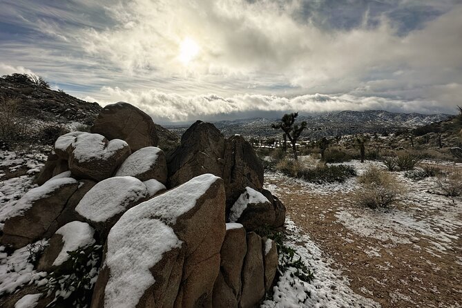 Joshua Tree National Park Self-Guided Driving Audio Tour - Before You Go: The Download Rule That Makes or Breaks It