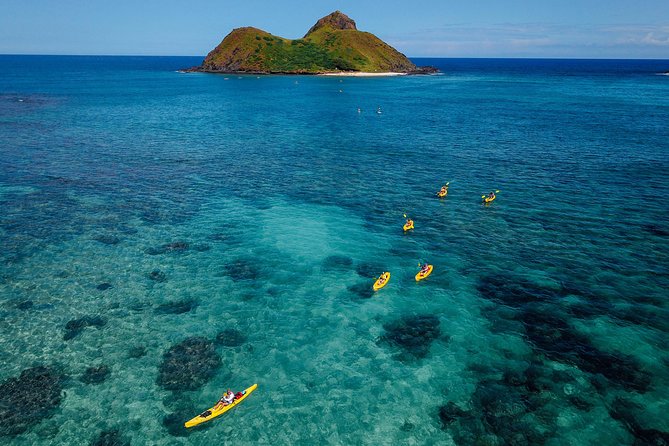 Kailua Bay, Oahu: Epic Kayak and Snorkel to Islands - Snorkeling expectations: yes for wildlife, no for guarantees