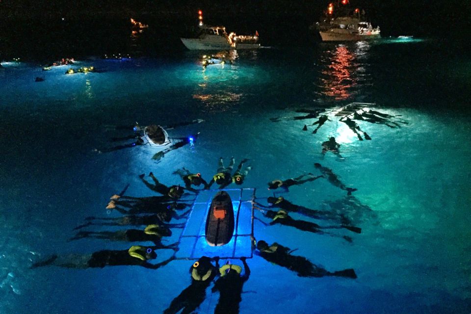 Kailua Kona: Night Manta Ray Adventure on the Big Island - Key highlights you’ll care about