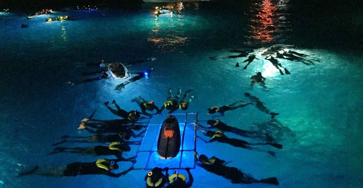 Kailua Kona: Night Manta Ray Adventure on the Big Island - Kona at night: why this snorkel feels different from day trips
