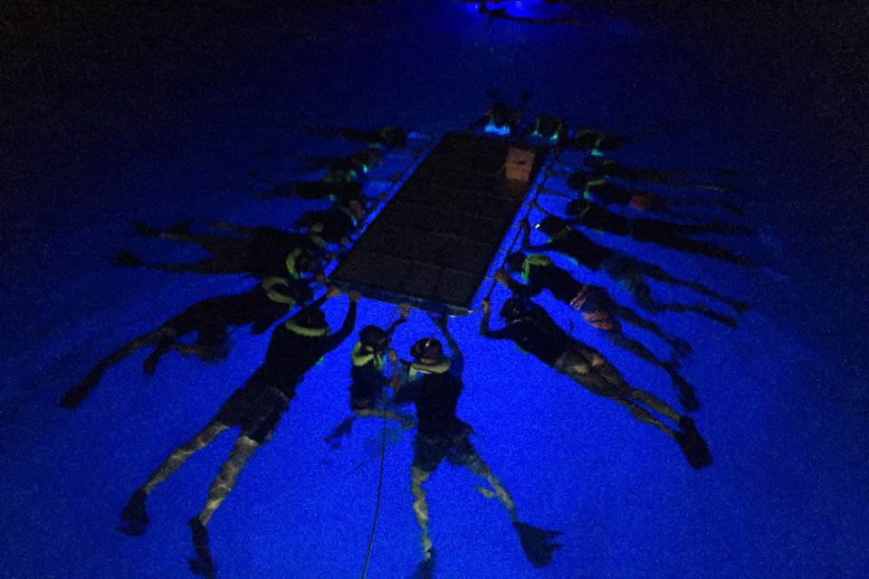 Kailua Kona: Night Manta Ray Adventure on the Big Island - The manta moment: what the light boards do in the water