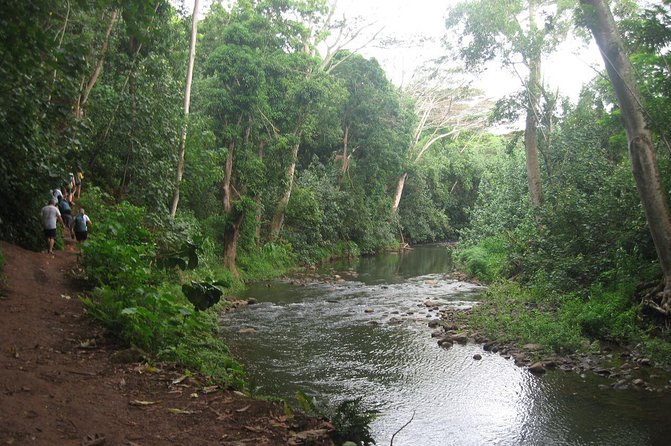 Kauai Adventure: Kayak & Hike to Secret Falls with Expert Guide - Kayaking the Wailua River: A Simple Plan With Real Payoff