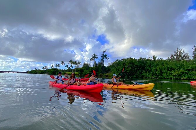 Kauai Adventure: Kayak & Hike to Secret Falls with Expert Guide - The Moderate Hike: Where the Terrain Gets Tricky