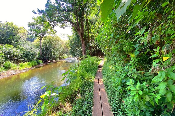 Kauai Adventure: Kayak & Hike to Secret Falls with Expert Guide - Stop Timing That Keeps the Day Feeling Balanced
