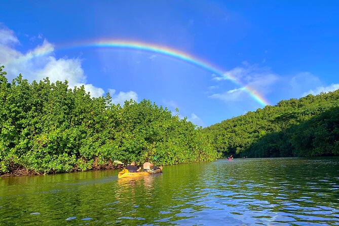 Kauai Adventure: Kayak & Hike to Secret Falls with Expert Guide - Price and Value: Is $140 Worth It?